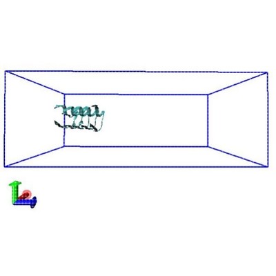 蛋白蛋白分子对接DS分析MD分子动力学分析PDB构建