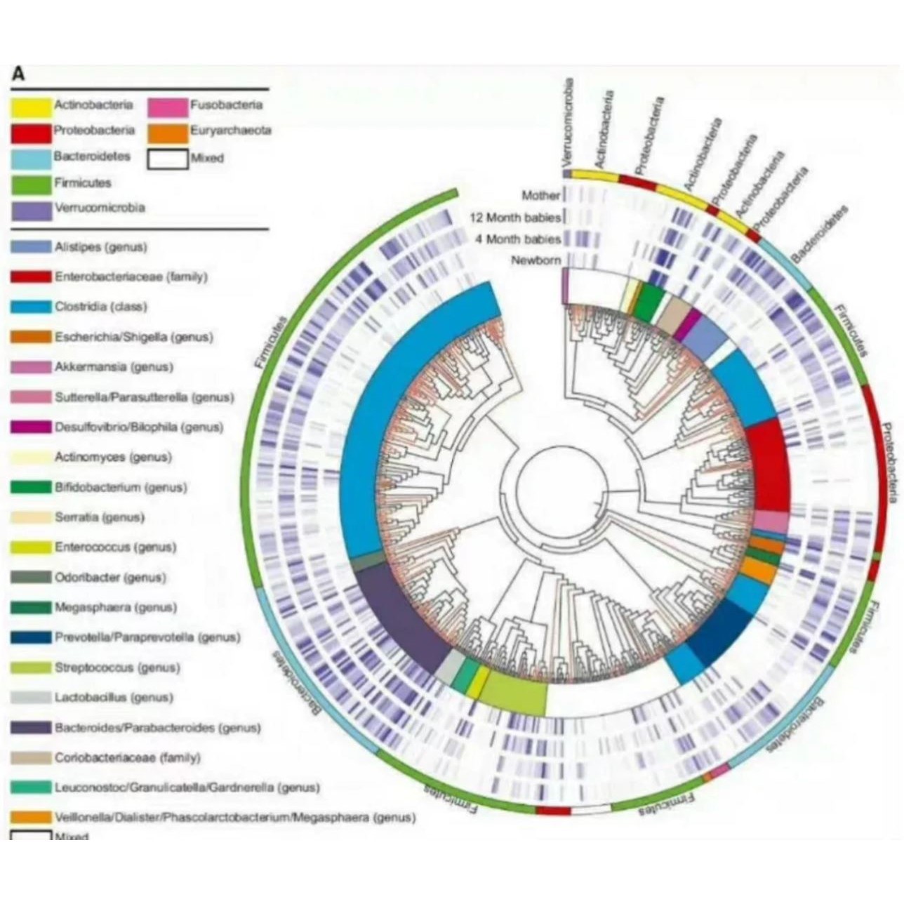 R语言代码Rstudio绘图SCI科研生信医学桑基热图数据分析作图教程