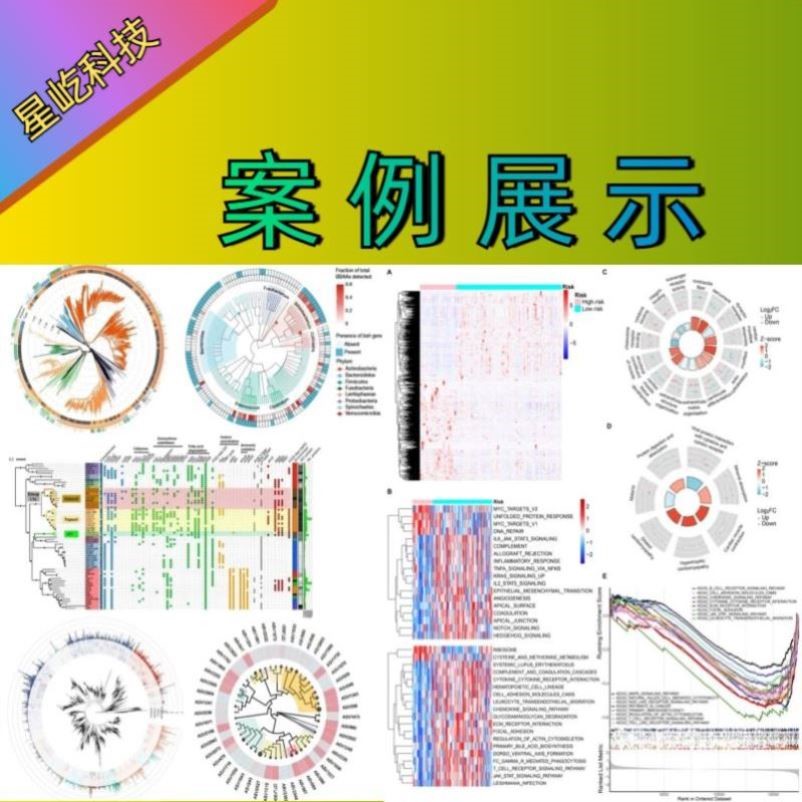 TCGA GEO数据库生信分析服务 孟德尔网药分析服务