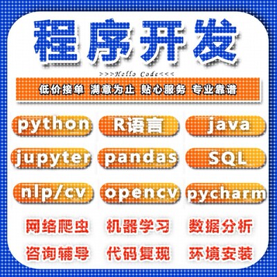 jupyter代做python数据分析sql库pycharm算法r语言cv机器学习辅导