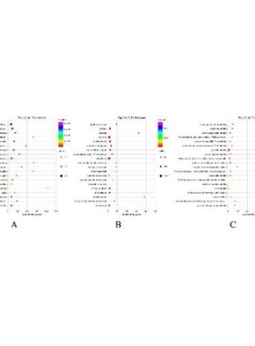 16s qiime2从原始序列开始(生成otu表、代表性序列和注释表).