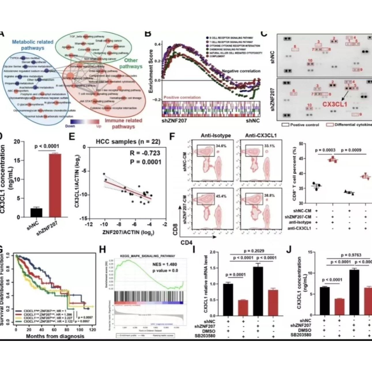 一对一辅导/系统学单细胞测序/chipseq/RNAseq/Atacseq/R语言培训
