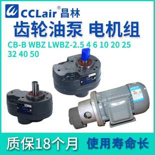 CB-B6齿轮泵4液压LWBZ油泵10B16BM20B25B32B40B50B63B80B100 125R