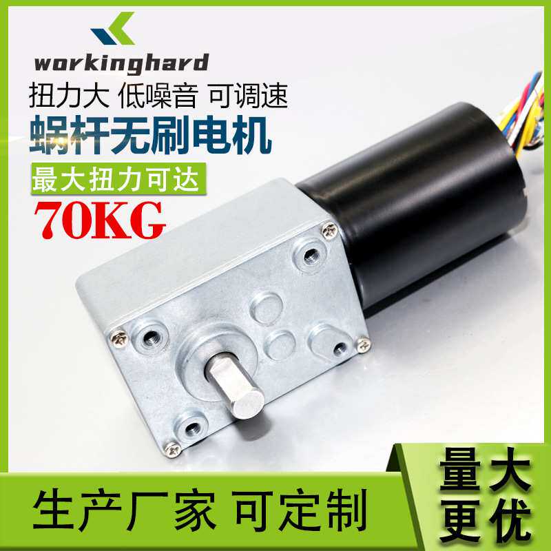 5840-3650直流无刷涡轮蜗杆减速电机 12V24V无刷电机带自锁刹车