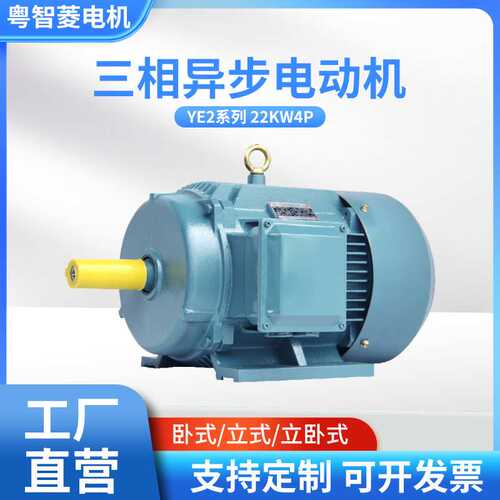 工厂直供三相异步电动机YE3 22KW4P(22千瓦4极)全铜交流电动机
