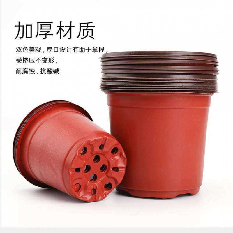 加厚双色盆 育苗杯简易花盆育苗杯多肉叶插盆大棚营养钵育苗盆