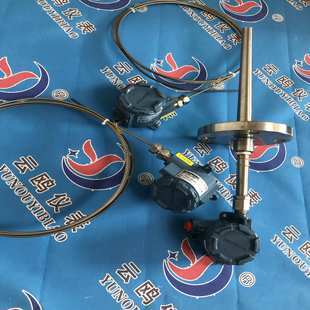 Pt00防爆热电阻WZP2 240A级 440G化工防爆热电阻WZP