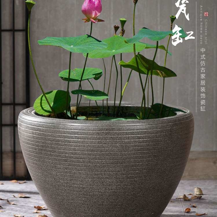 陶瓷鱼缸古法生态养鱼缸阳台小水池庭院老式大水缸大号睡莲荷花缸