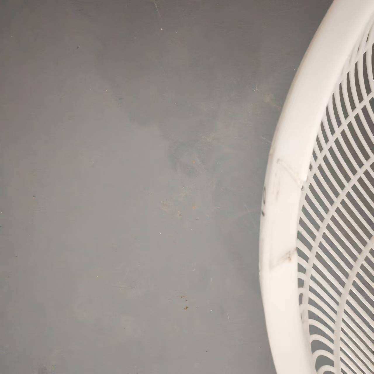 塑料分鱼筛鱼苗大小漏网筐小龙虾河虾分拣专用筛子筛虾神器新款筛