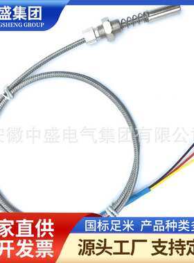 端面热电阻WZPM2 Pt100 φ4*50 L=2000