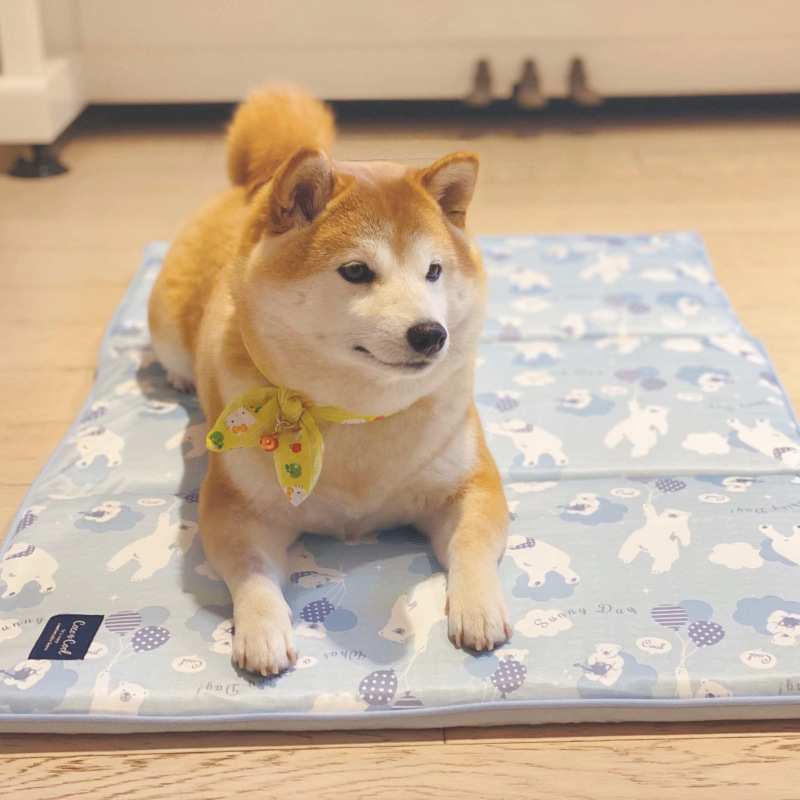 宠物垫子夏季凉感毯子冰凉狗垫夏天凉狗睡觉垫柴犬狗窝