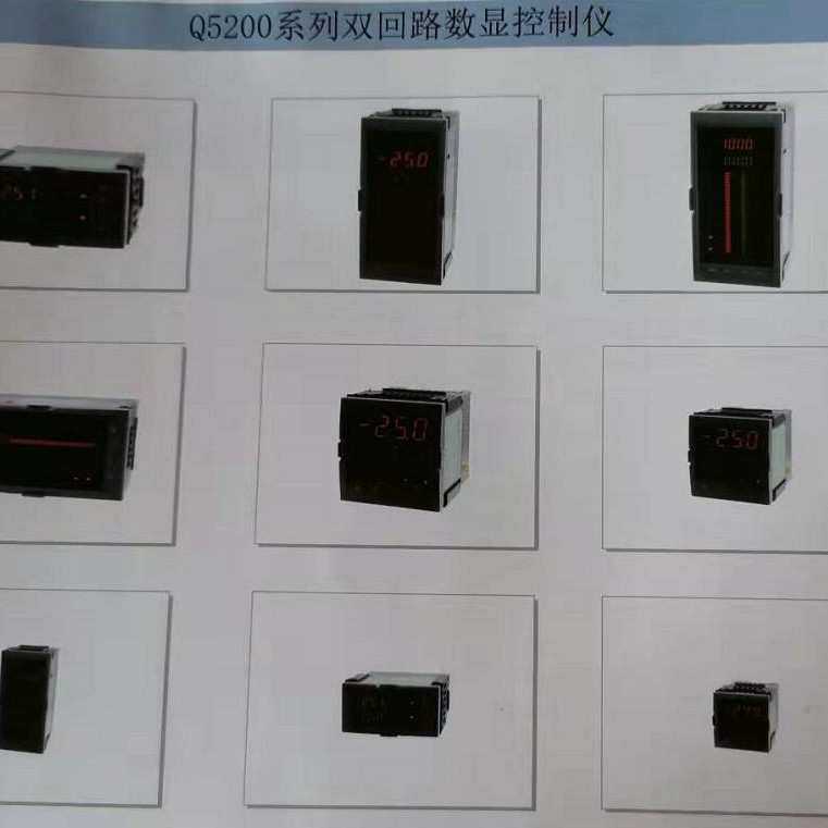 WP-Z403-01-23-HL/WP-C801-02-09-N数显表温控仪上润表