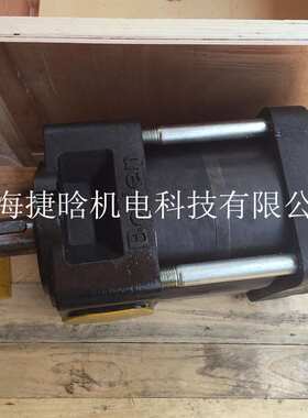 供应博顿液压泵 BNP2-G16F 高压内啮合齿轮泵 boden油泵