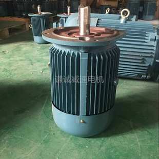 380V立卧式 方力22KW2极转速2935 YE3 YE4 翔鲨 180M 国茂