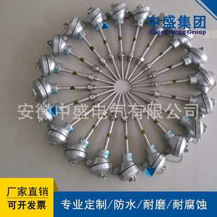 M27 安徽天长市中盛热电阻防爆热电阻WZPB 300 L=450 240