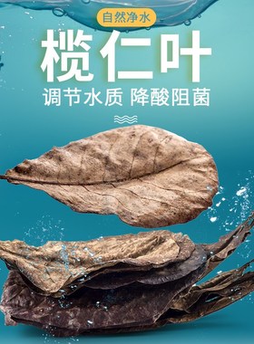 乌龟榄仁叶鱼缸懒人叶热带鱼玛塔降酸降ph调节改善水质造景10片装