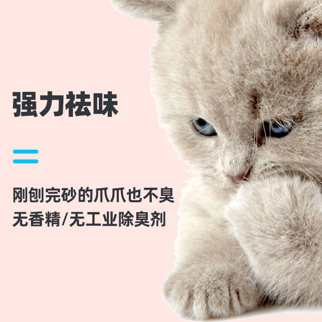 新疆包邮嘟麦奇活性炭膨润土猫砂除臭吸水易结团10公斤猫咪用品