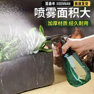 家用清洁喷水壶浇水 喷壶消毒专用酒精喷雾瓶浇花神器洒水壶气压式