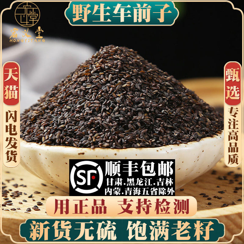 野生车前子500g250g100克大别山车前籽车前草籽材车前子泡茶