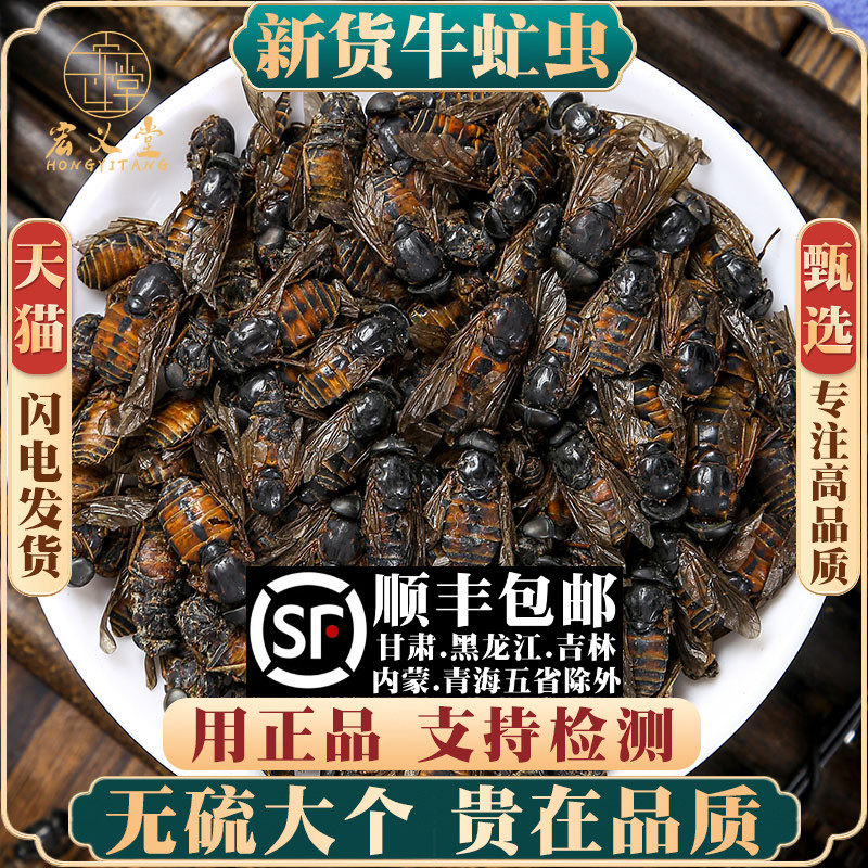 牛虻材50克 牛虻药 精选大个牛虻虫 绝不掺假 牛虻药材