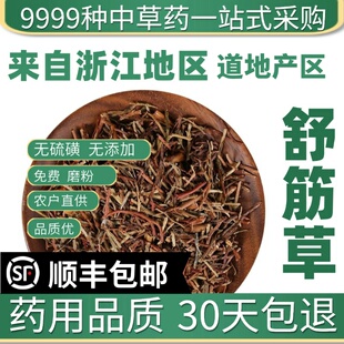材特级野生舒筋草 新货藤石松 石子藤 筋骨草 50克