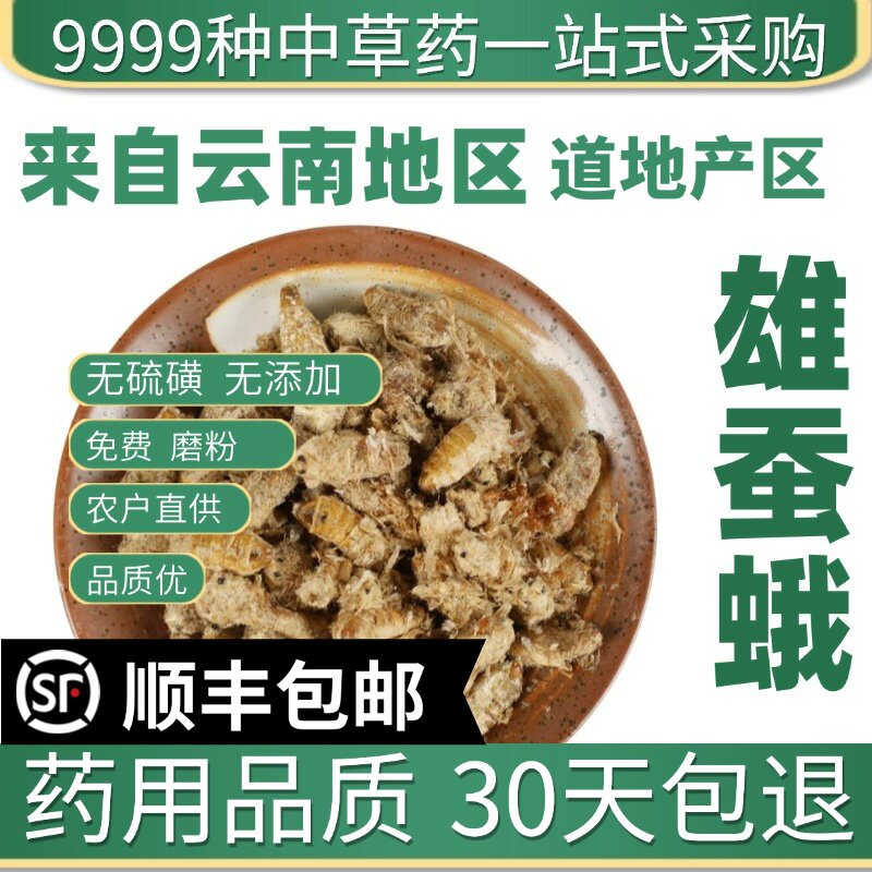 材特级野生雄蚕蛾公蝉俄晚娥魏蚕峨免费磨粉雄天蛾原蚕蛾50g
