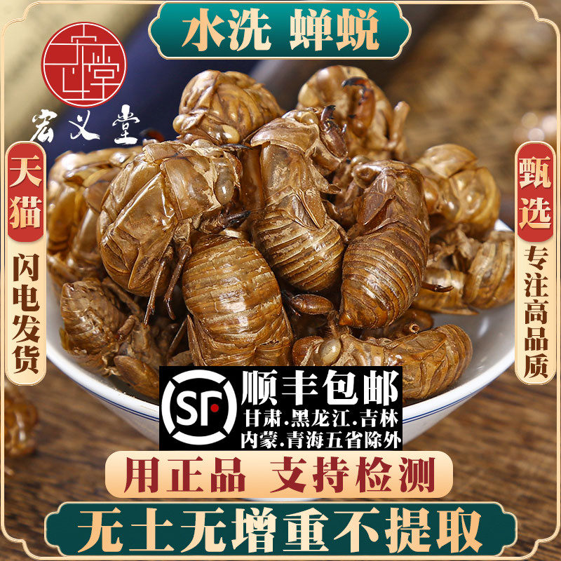 野生蝉蜕100g50克蝉衣新货金蝉衣知了皮知了壳虫退粉蝉退壳材