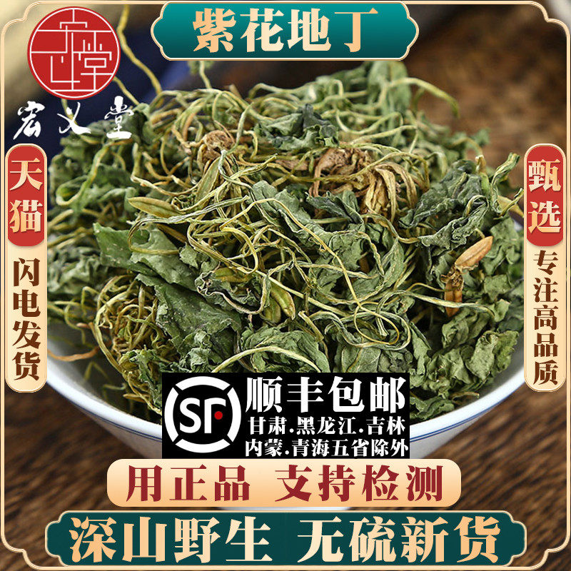 野生紫花地丁500g250g100克材地丁草箭草犁头草铧头草地丁茶