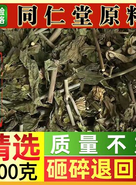 同仁堂野生干品 晒干优盾草茶 忧遁草叶茎 鳄嘴花500克