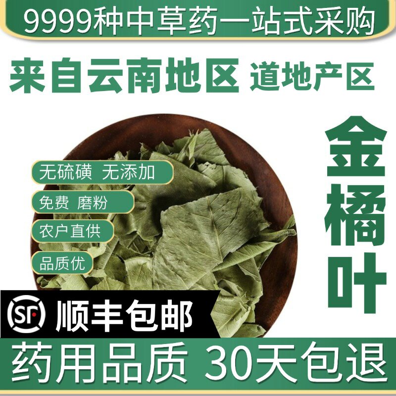 材特级野生金橘叶新货干货橘子叶 桔叶泡茶 金橘叶新鲜