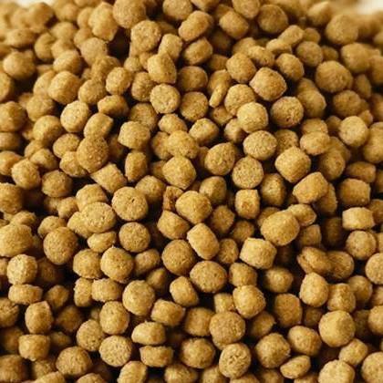 全自动鱼饲料加工设备 全自动鱼饲料膨化机 小型养殖鱼饲料生产线