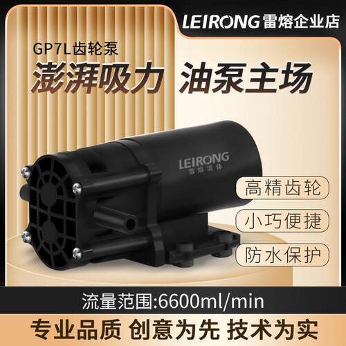 雷熔微小型GP7L有刷防水电机齿轮泵工业灌装机液压抽油12V24伏