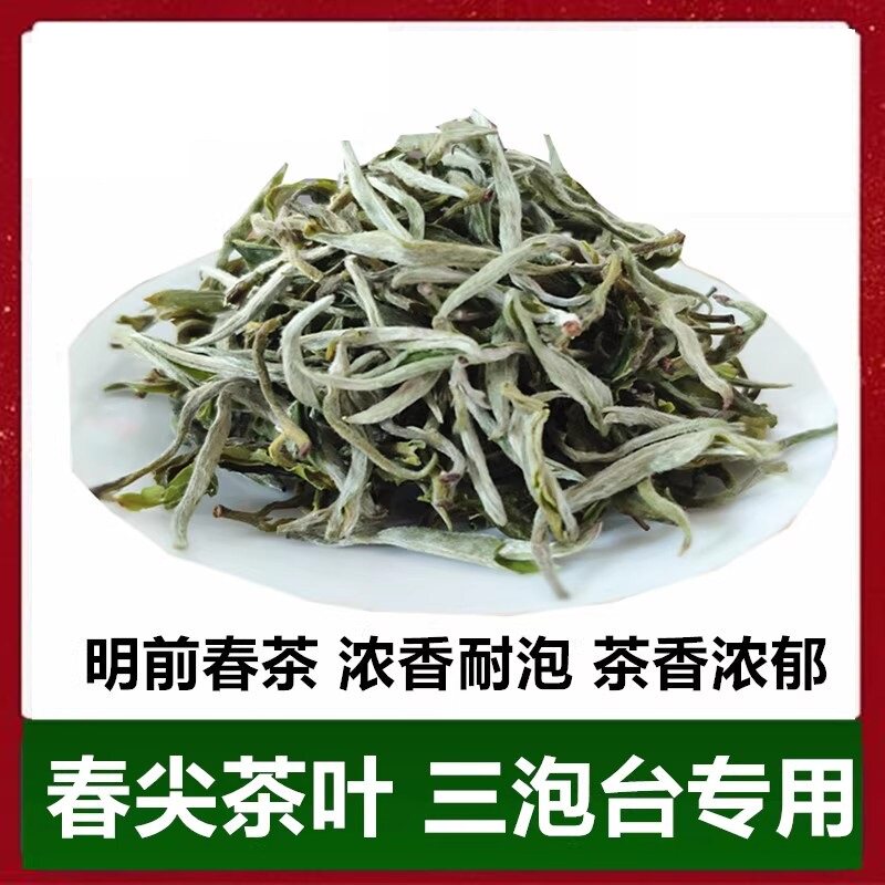 兰州春尖茶叶三泡台绿茶临夏八宝茶清茶甘肃天水陇南罐罐茶1斤