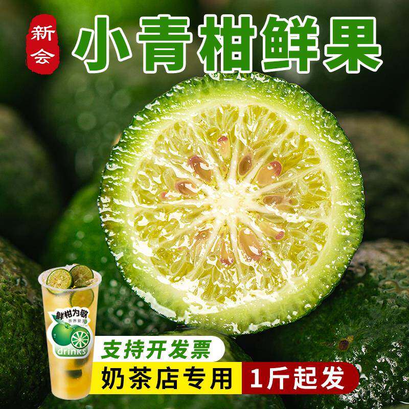 新会小青柑鲜果青柠小金桔手打柠檬茶奶茶店专用原料陈皮水新鲜果