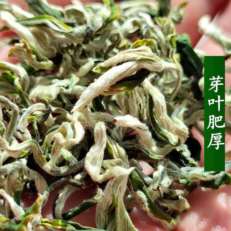 2025新茶白毫绿茶兰州春尖茶叶春