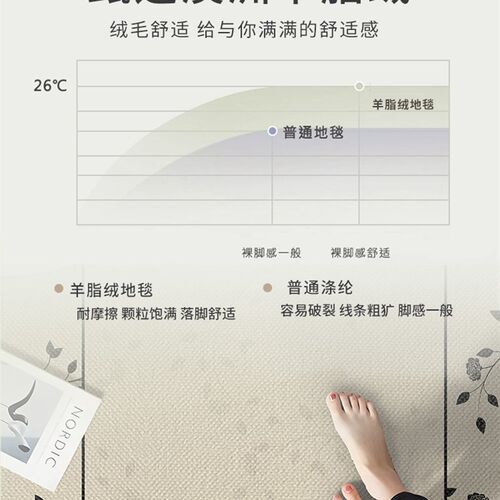 卧室地毯床边地垫高级耐脏厚脚垫衣帽间客厅沙发茶几书房2023新款