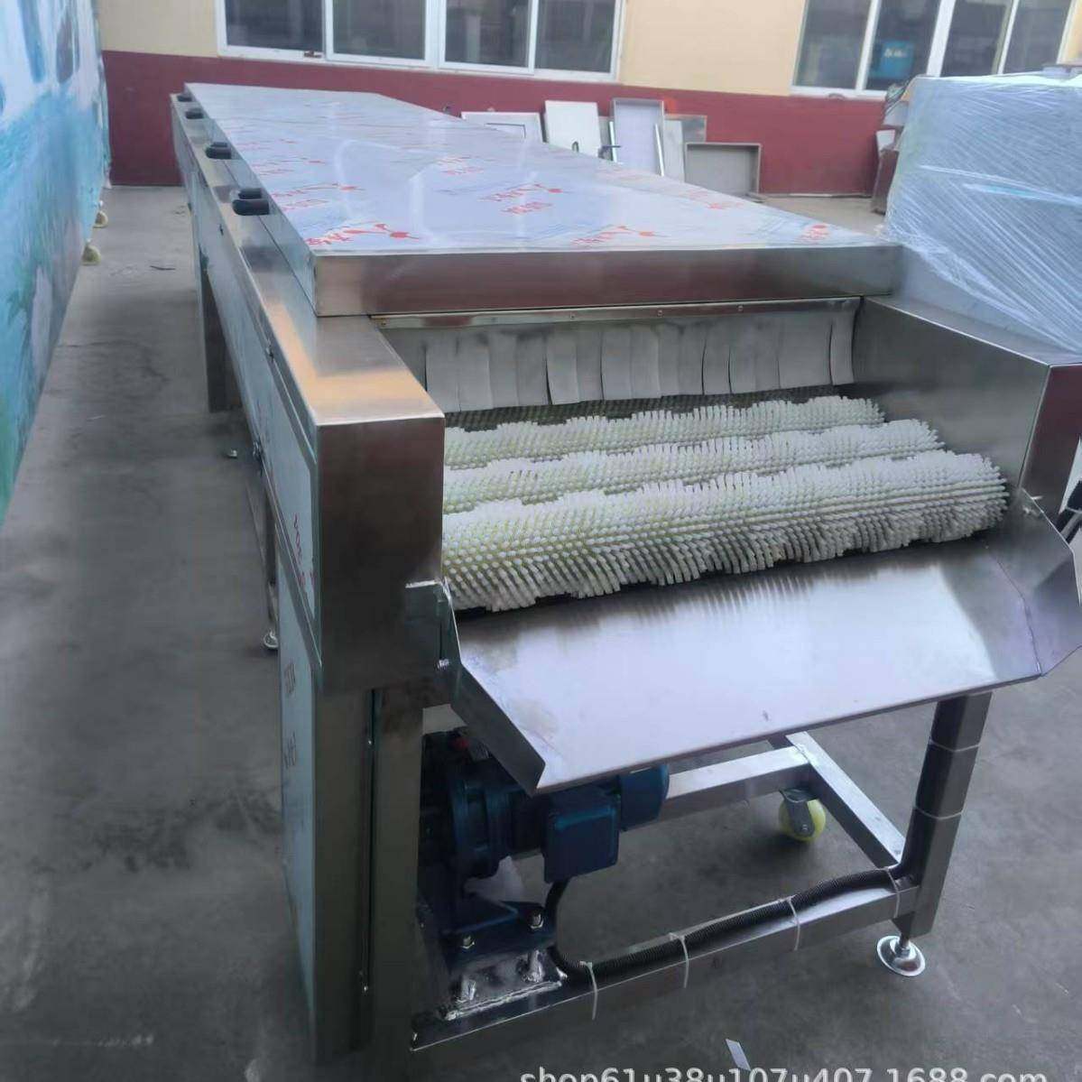 番薯红蜜薯清洗机食品厂用水果蔬菜脱皮机川姜毛辊清洗去皮机,清洗/食品/商业设备,其他食品加工设备,淘宝优惠券,粉丝福利购,淘宝优惠卷