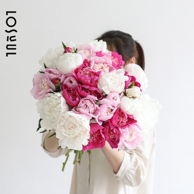 芍药鲜切山东四川白色粉色时令大花苞重瓣花束花氛围感鲜花顺丰