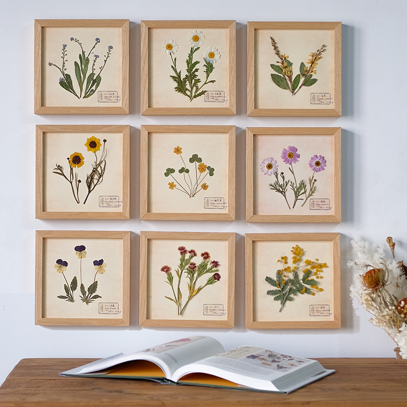 简约花卉植物标本装饰画照片墙相框挂画组合墙书房儿童房样板间图片
