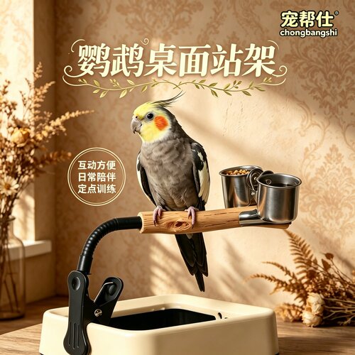 宠帮仕鹦鹉定点拉屎训练器