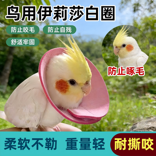鹦鹉通用防啄防啃咬伊丽莎白圈