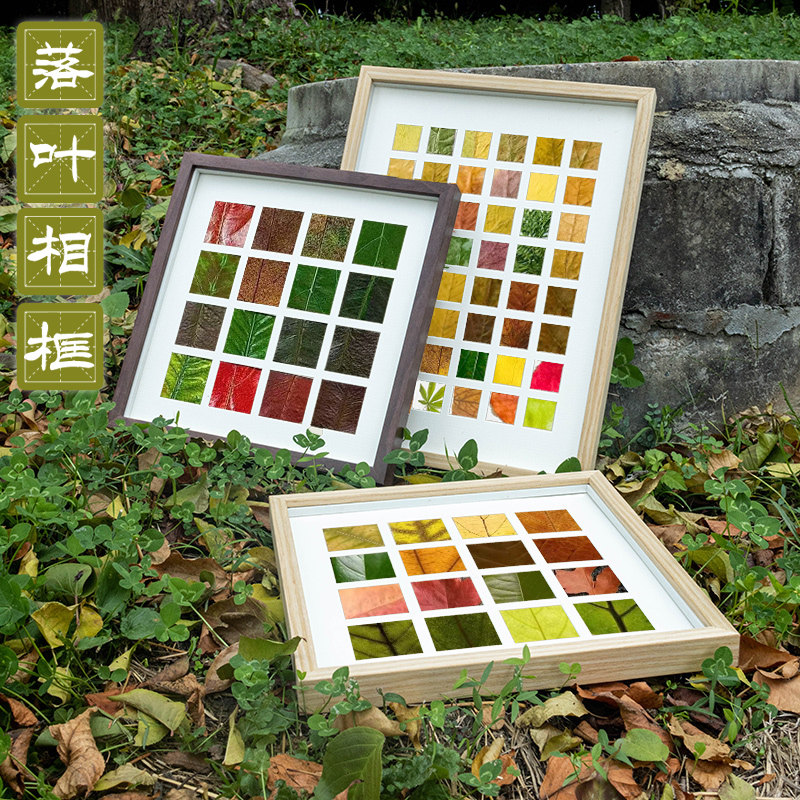 diy落叶相框手工作品标本画框