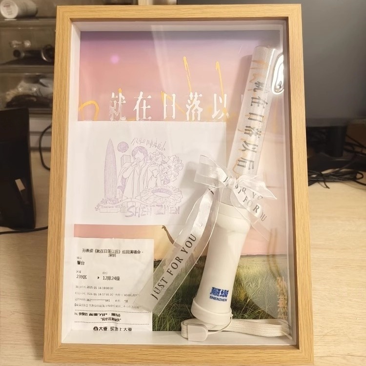 孙燕姿演唱会应援棒收纳相框