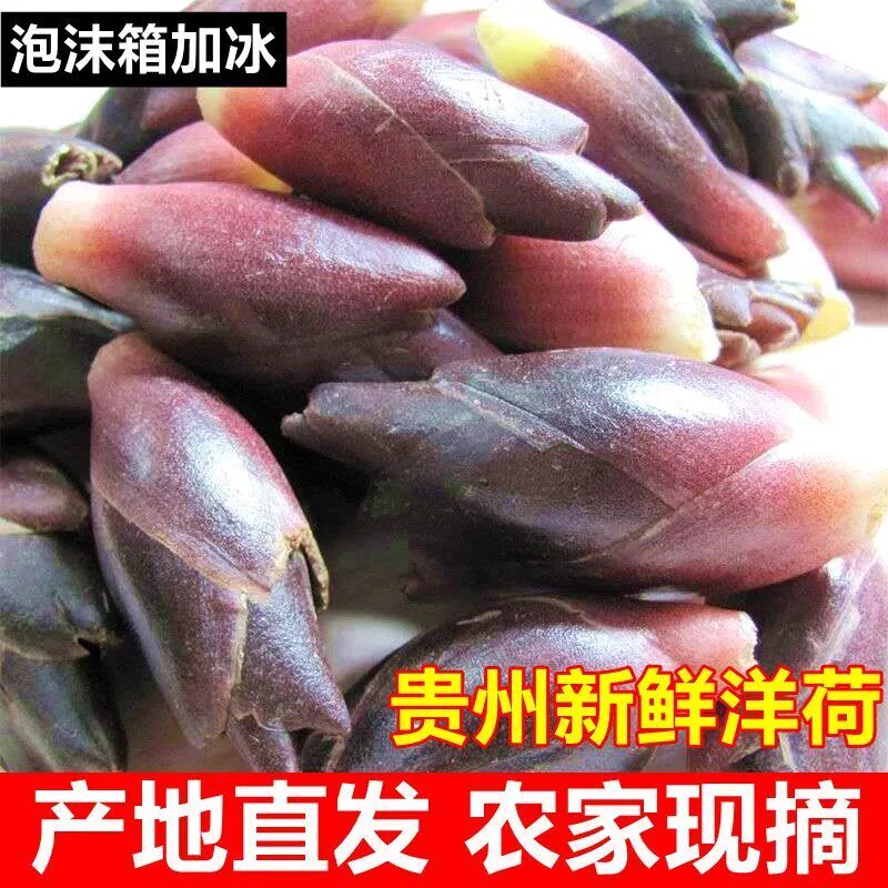 贵州特产新鲜阳荷姜野菜洋荷姜野生洋藿阳何茗荷蔬菜洋火阳荷冷链
