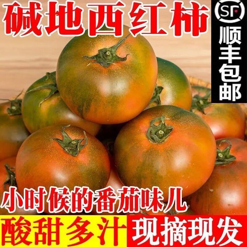 丹东铁皮柿子西红柿新鲜碱地盘锦草莓柿子自然熟生吃水果番茄包邮