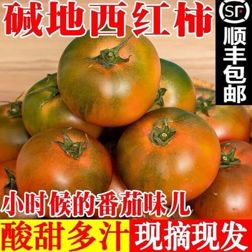 丹东铁皮柿子西红柿新鲜碱地盘锦草莓柿子自然熟生吃水果番茄包邮