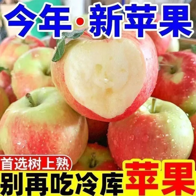 2025年头茬嘎啦苹果新鲜水果当季整箱脆甜冰糖丑青小平果整箱包邮