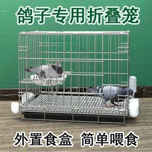 鸽子笼养鸽子专用笼养殖笼家用繁殖笼配对笼大号新型鸽舍鸽子笼子