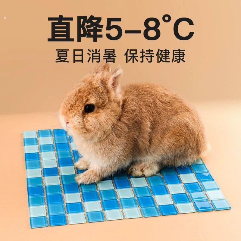 仓鼠夏日用品宠物降温仓鼠夏天降温夏季冰垫凉席消暑荷兰猪兔子散