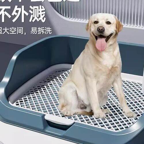 狗狗定点排便神器小型犬中型犬宠物狗大小便神器上厕所专用狗尿盆